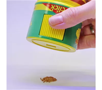 JBL Novo Grano Color Mini