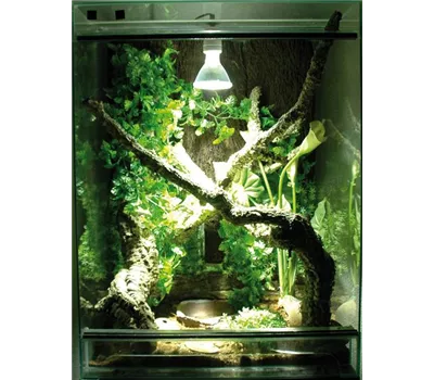 Lucky Reptile Bright Sun UV Jungle 70 W Lucky Reptile Bright Sun UV Jungle 70 W