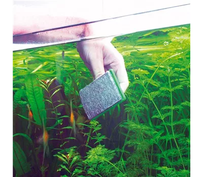 JBL Blanki JBL Blanki