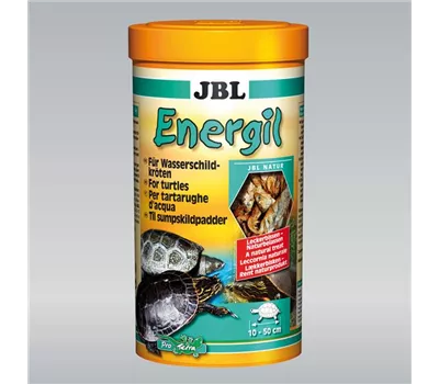 JBL Energil