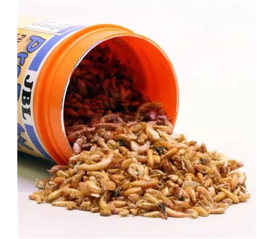 JBL ProBaby JBL ProBaby