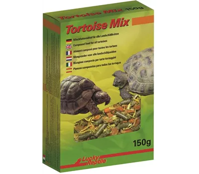 Lucky Reptile Tortoise Mix  Lucky Reptile Tortoise Mix