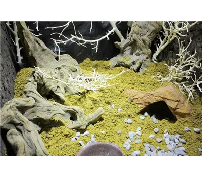 Lucky Reptile - Desert Bedding Golden Yellow Lucky Reptile - Desert Bedding Golden Yellow