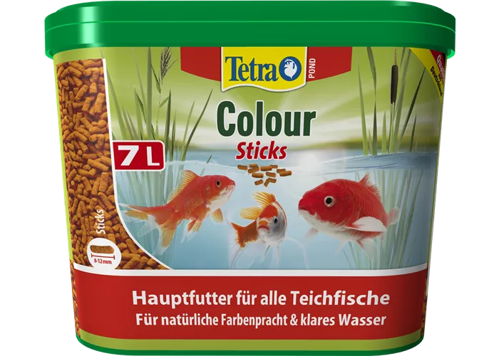 Gartenteich Gartenteich