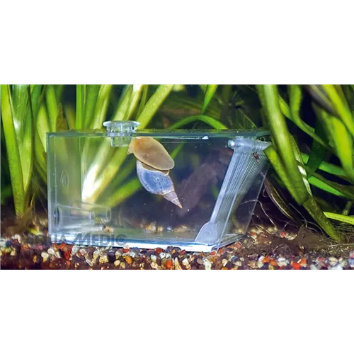 Aqua Medic Trap Pest  Aqua Medic Trap Pest