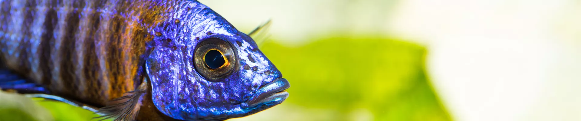 _SSL4659.jpg _SSL4659.jpg