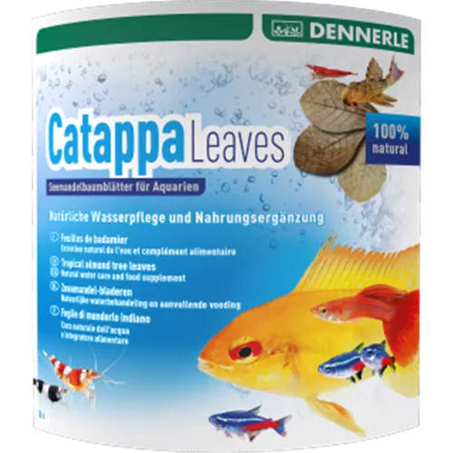 Dennerle Catappa Leaves Seemandelbaumblätter 10er