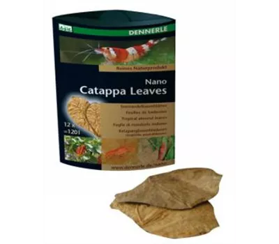 Dennerle Nano Catappa Leaves 12 Stück Dennerle Nano Catappa Leaves 12 Stück