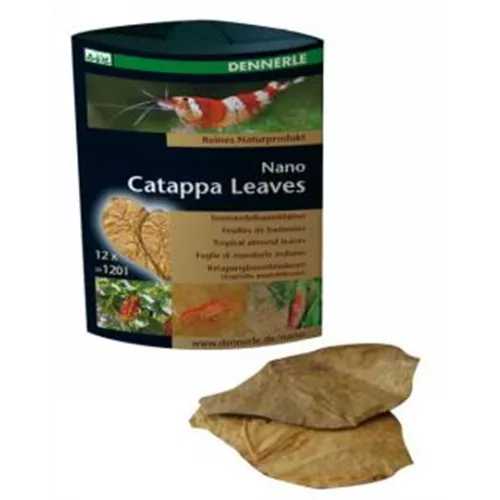 Dennerle Nano Catappa Leaves 12 Stück