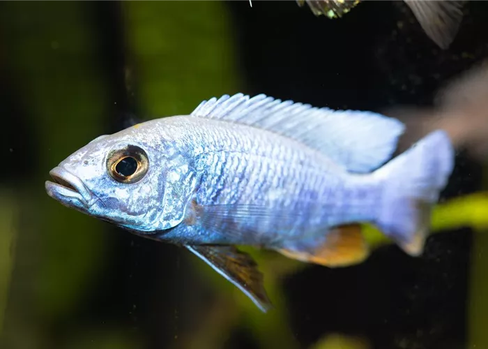 Neuigkeiten Neuigkeiten