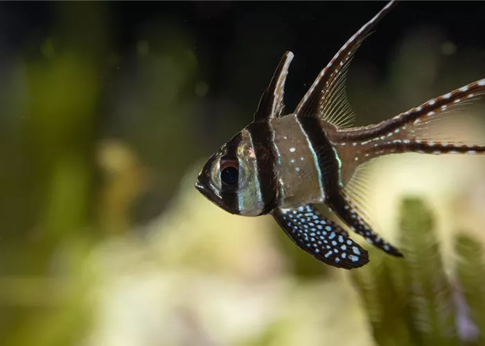 Unser Team Unser Team