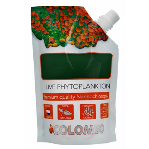 Colombo Live Phytoplankton - lebendes Plankton