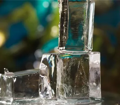 Das Aquarium kühlen – Tipps für den Umgang mit Aquarien im Sommer Das Aquarium kühlen – Tipps für den Umgang mit Aquarien im Sommer