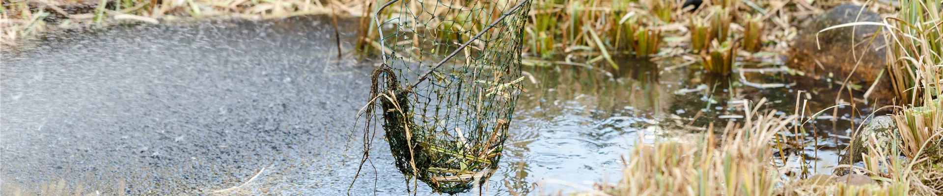 GS530955.jpg GS530955.jpg