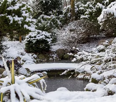 Eisfreihalter – nützliche Tools für den Teich im Winter Eisfreihalter – nützliche Tools für den Teich im Winter