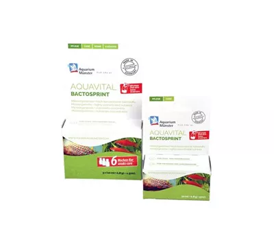 Aquarium Münster Bactosprint 10ml&8gfür bis zu 500l Aquavital