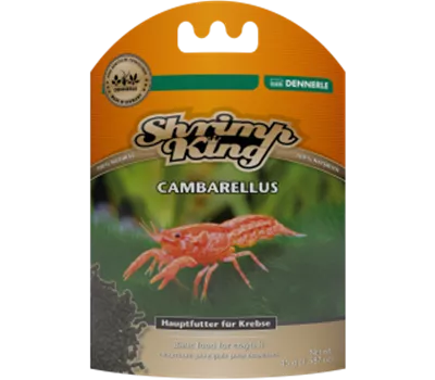 Dennerle Shrimp King Cambarellus Dennerle Shrimp King Cambarellus