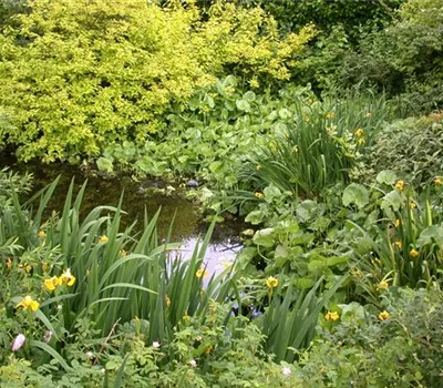 Achtung, fertig, Gartenteich! Von der Planung bis zur Umsetzung Achtung, fertig, Gartenteich! Von der Planung bis zur Umsetzung