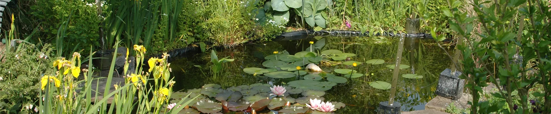 GS615144.jpg GS615144.jpg