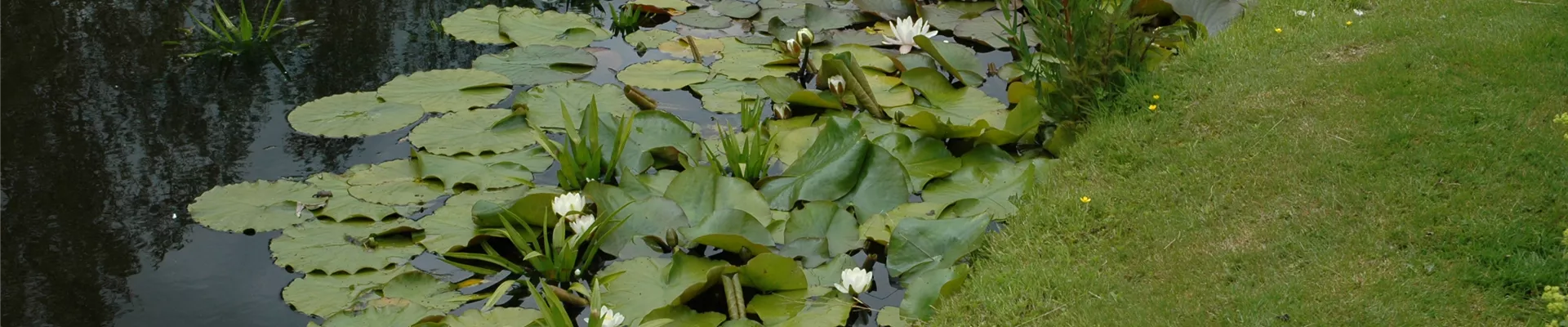 GS614767.jpg GS614767.jpg