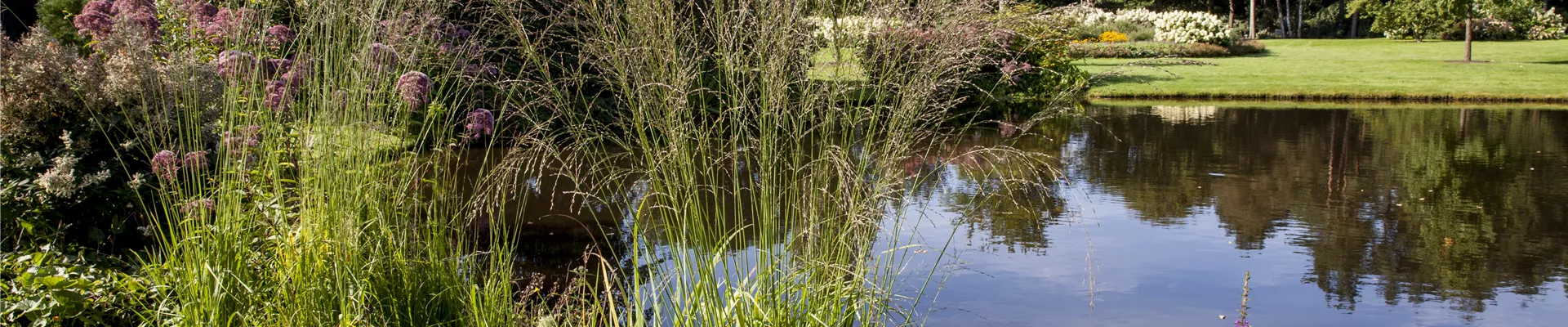 GS503579.jpg GS503579.jpg