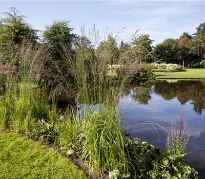 Der richtige Teich für jeden Garten Der richtige Teich für jeden Garten