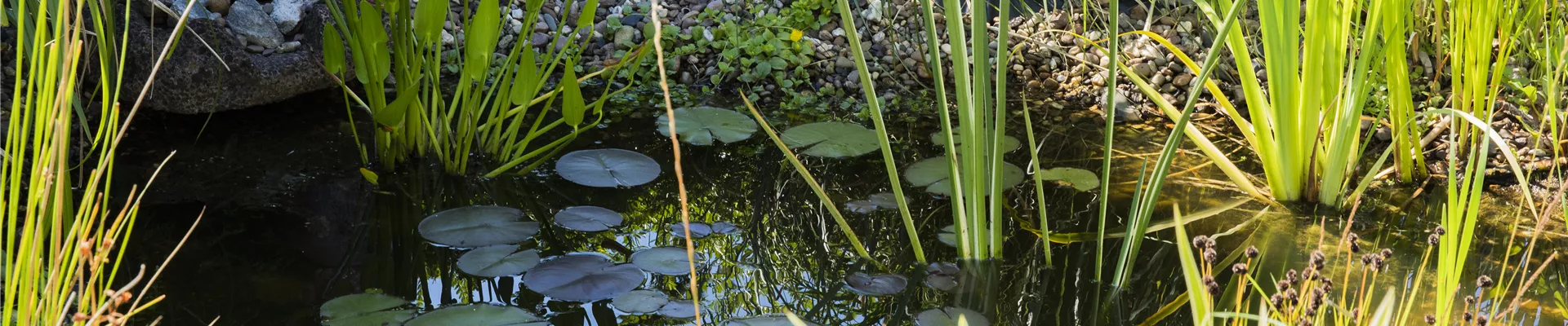 GS585909.jpg GS585909.jpg