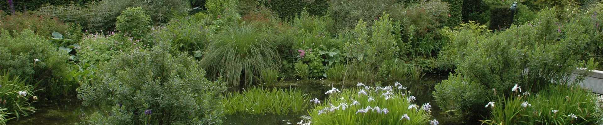 GS614145.jpg GS614145.jpg