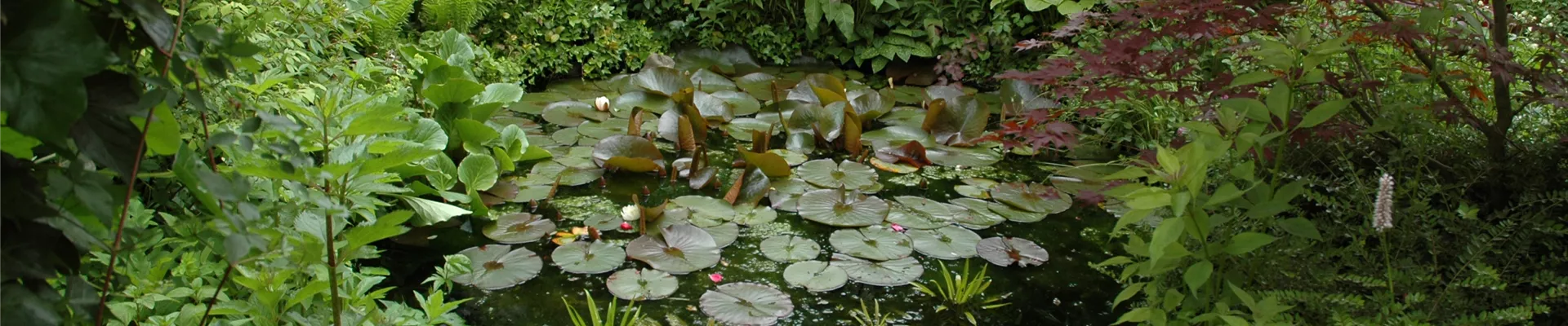 GS614159.jpg GS614159.jpg