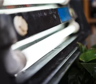 Beleuchtung im Aquarium: LED statt Röhre? Beleuchtung im Aquarium: LED statt Röhre?