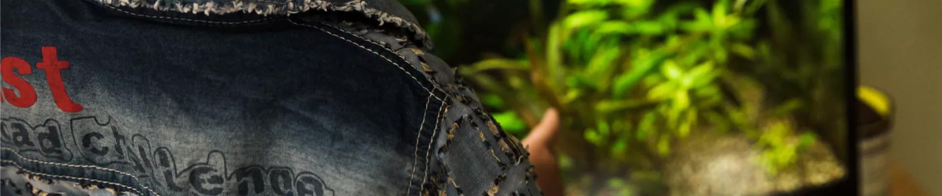 GS584196.jpg GS584196.jpg