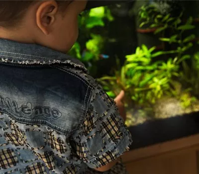 Aquarium kaufen – neu oder gebraucht? Aquarium kaufen – neu oder gebraucht?