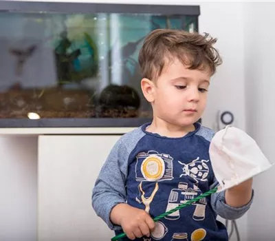 Aquarium als Dekoration für zu Hause Aquarium als Dekoration für zu Hause