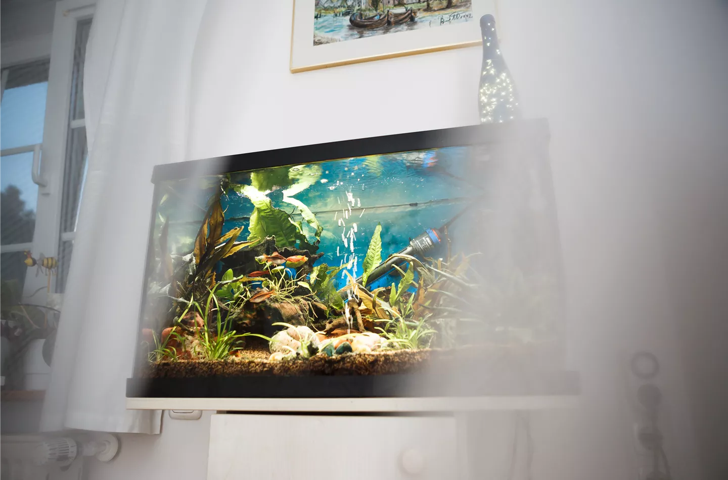 Kleine Helferlein, große Wirkung: Praktische Tools fürs Aquarium Kleine Helferlein, große Wirkung: Praktische Tools fürs Aquarium