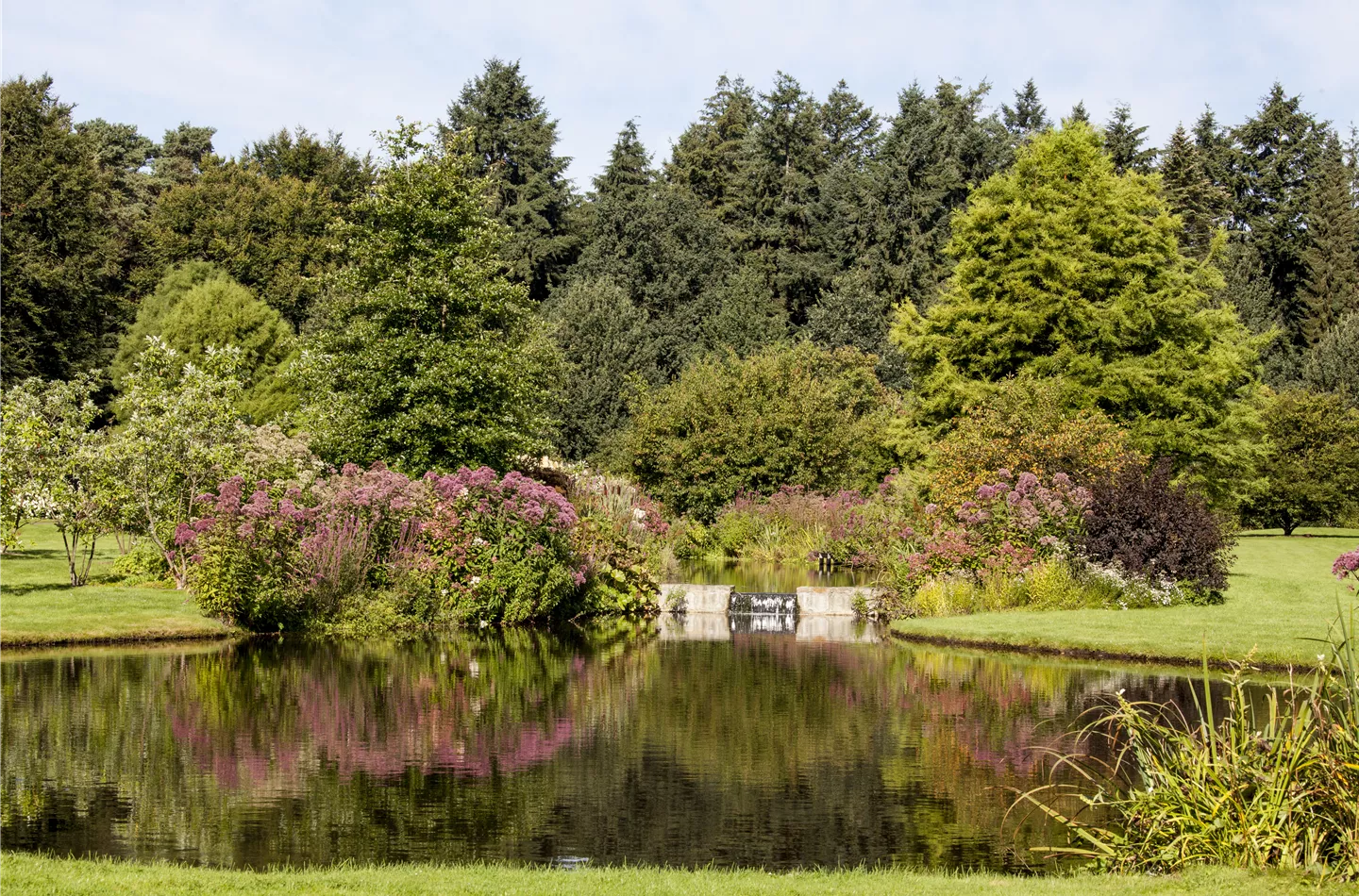 Kleiner Teich, kleiner Fisch – großer Teich, großer Fisch? Kleiner Teich, kleiner Fisch – großer Teich, großer Fisch?