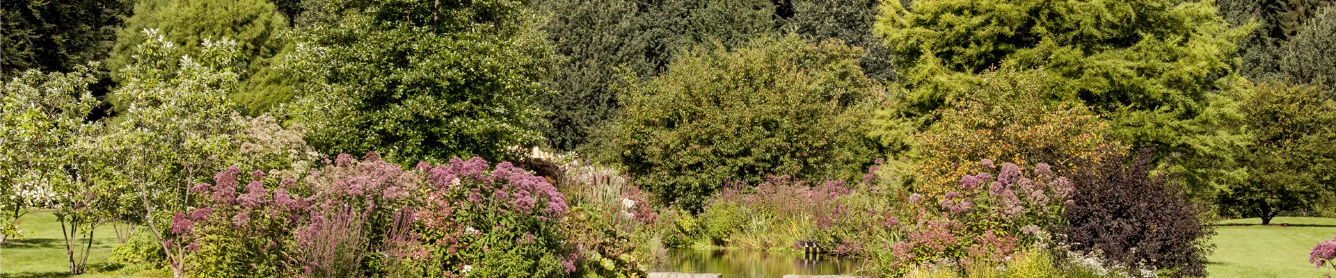 GS503582.jpg GS503582.jpg