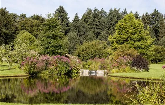 Kleiner Teich, kleiner Fisch – großer Teich, großer Fisch?