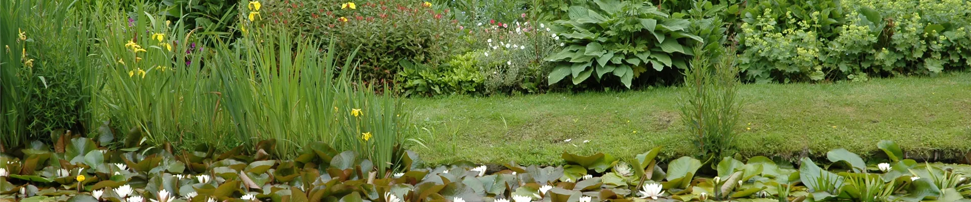 GS614157.jpg GS614157.jpg