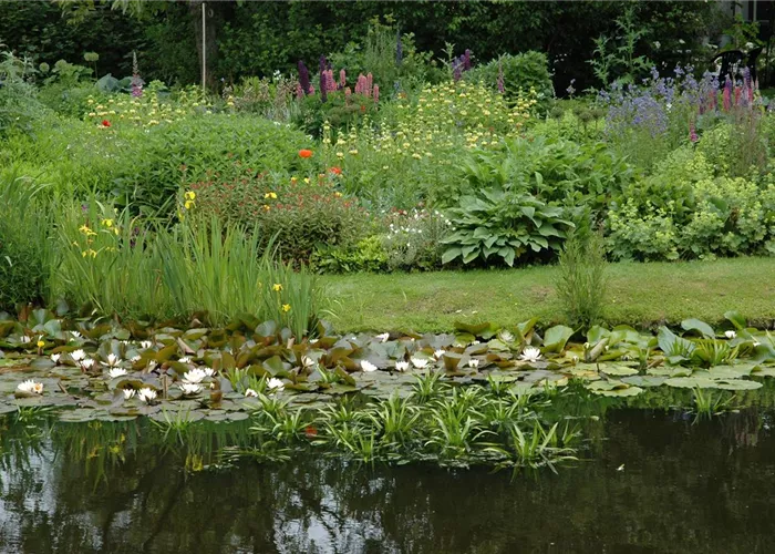 Urlaub für den Teichfilter – oder lieber doch nicht? Urlaub für den Teichfilter – oder lieber doch nicht?