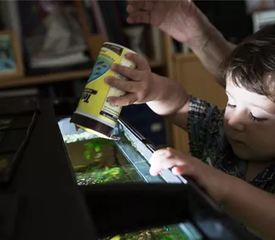 Fische richtig füttern – natürliche Ernährung im Aquarium Fische richtig füttern – natürliche Ernährung im Aquarium