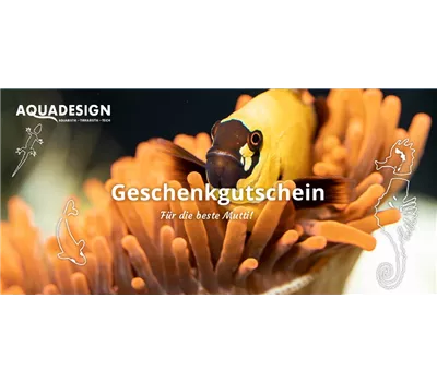 Individueller Gutschein Individueller Gutschein