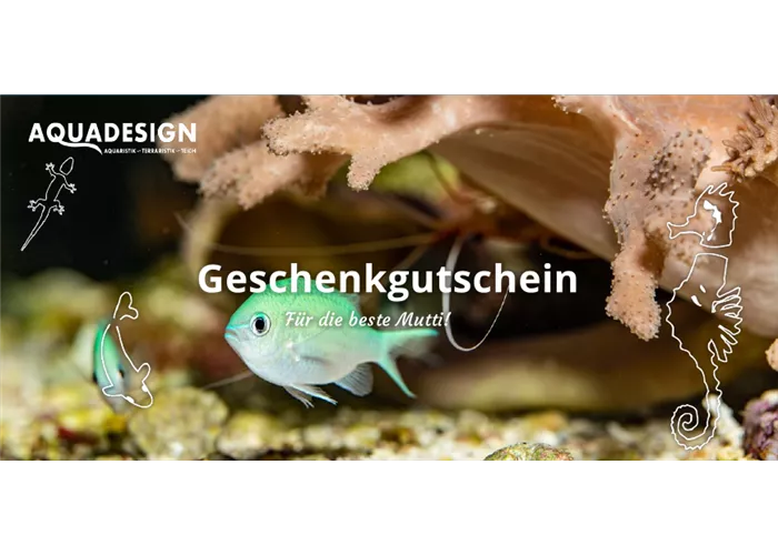 Gutscheine Gutscheine