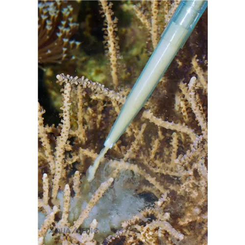 Aqua Medic Pipette 35 Aqua Medic Pipette 35