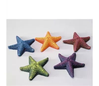 AQUA DELLA Seestern ca. 8,5cm