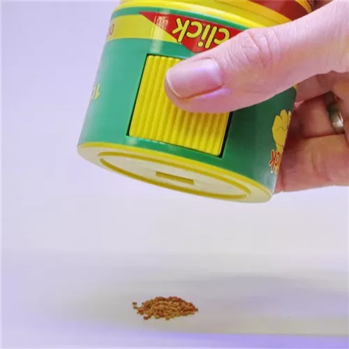 JBL Novo Grano Color Mini