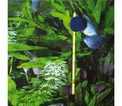 JBL Aquarien-Thermometer Premium