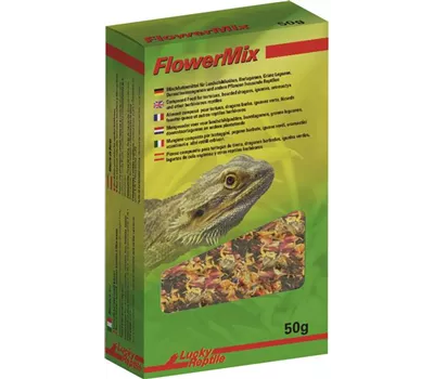 Lucky Reptile Flower Mix