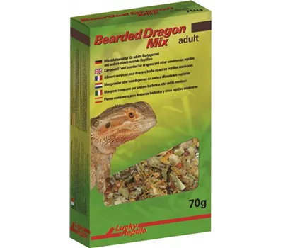 Lucky Reptile Bearded Dragon Mix adult