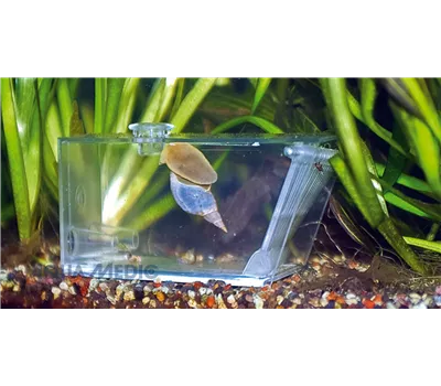 Aqua Medic Trap Pest 