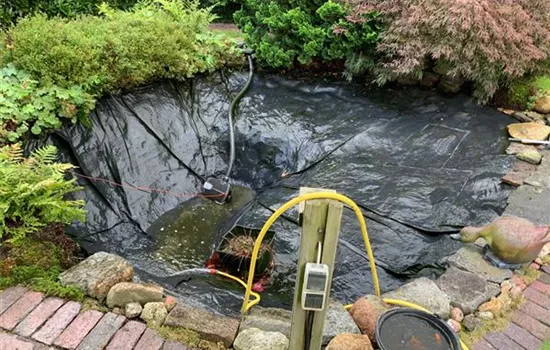 Es ist Putztag! Natürliche Pflege für den Gartenteich